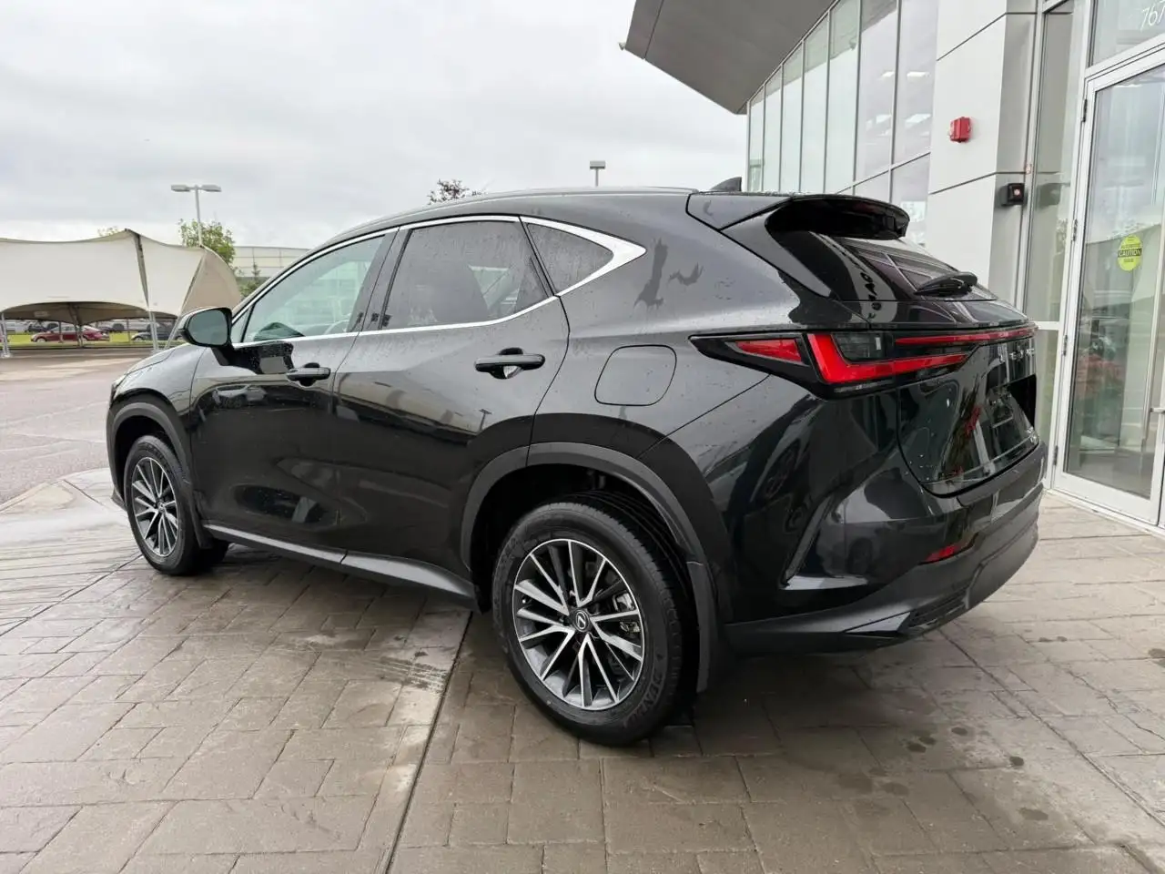 Lexus NX 250 - Image 2
