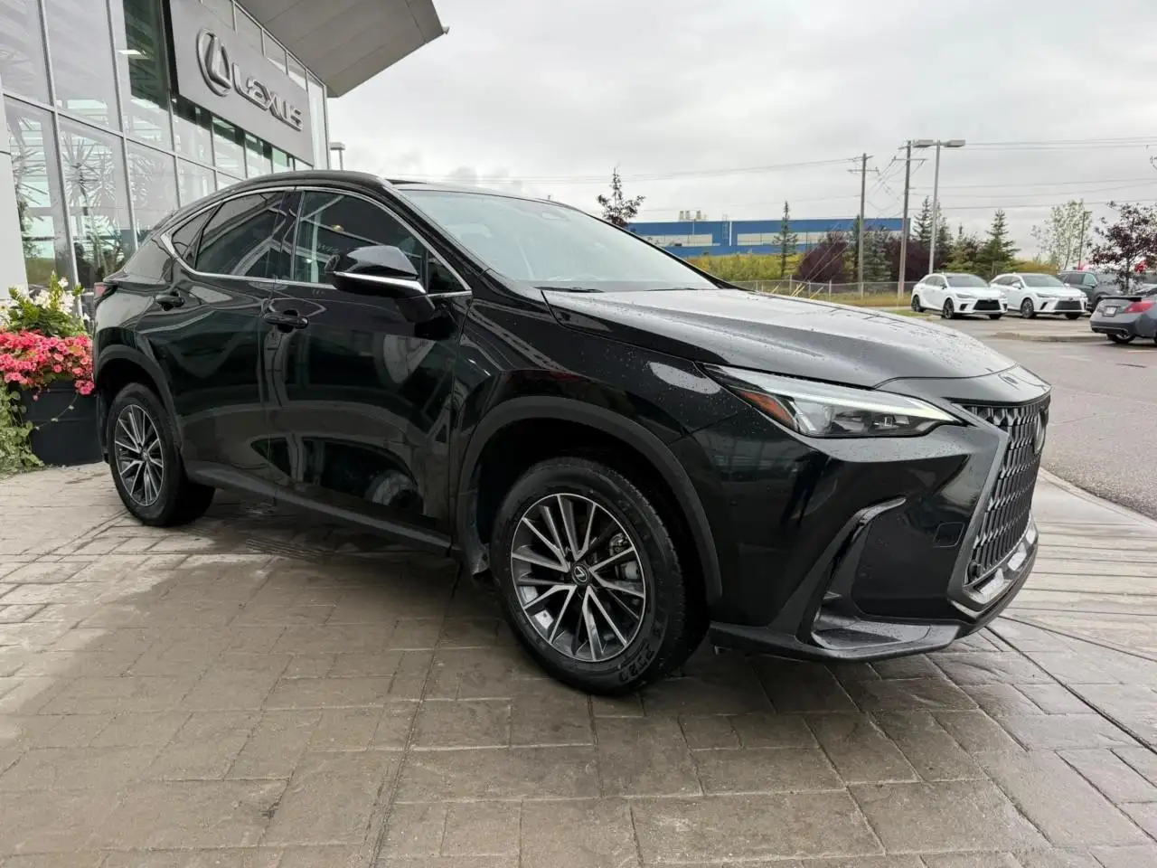 Lexus NX 250 - Image 4