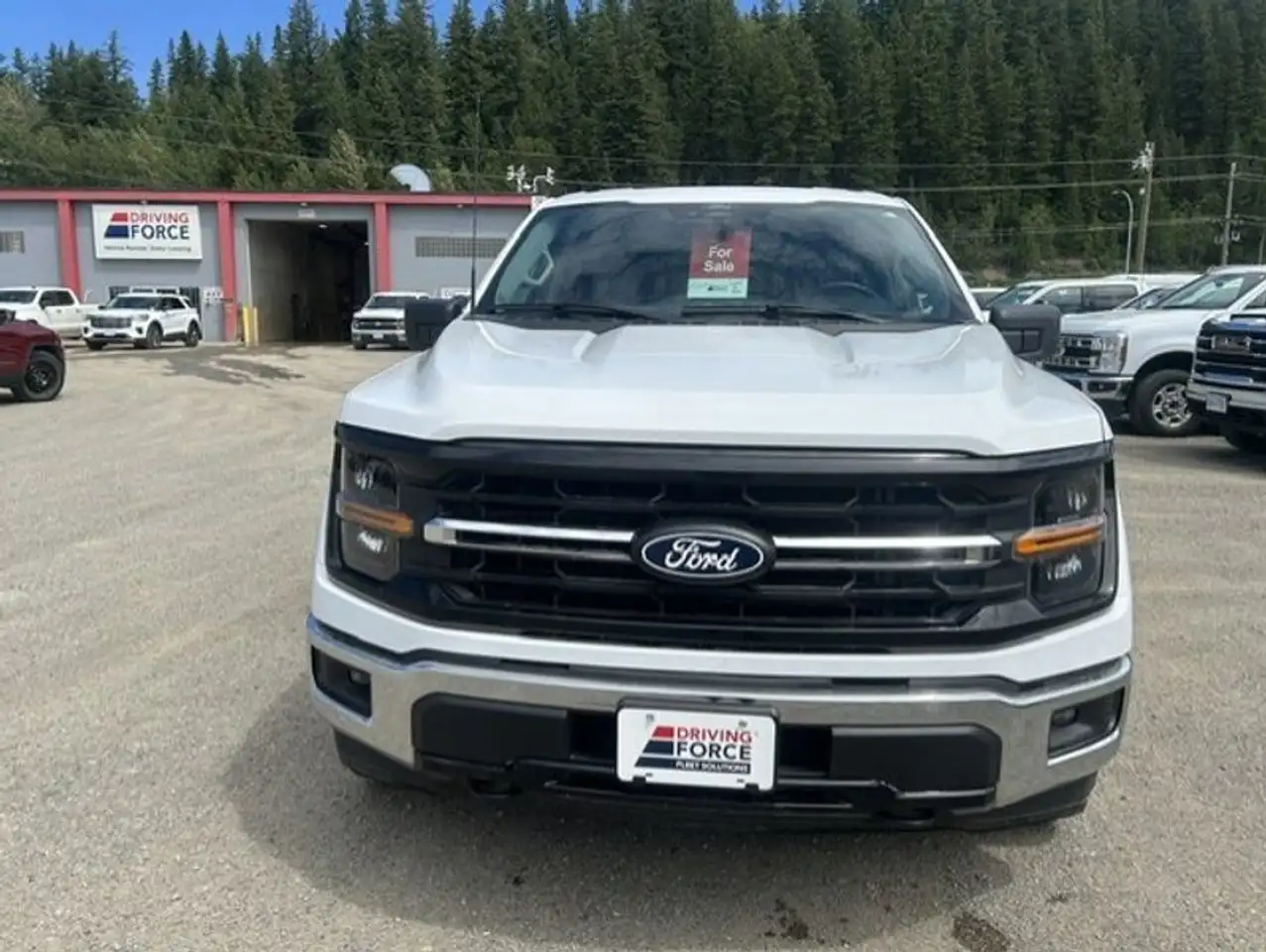 Ford F-150 - Image 10