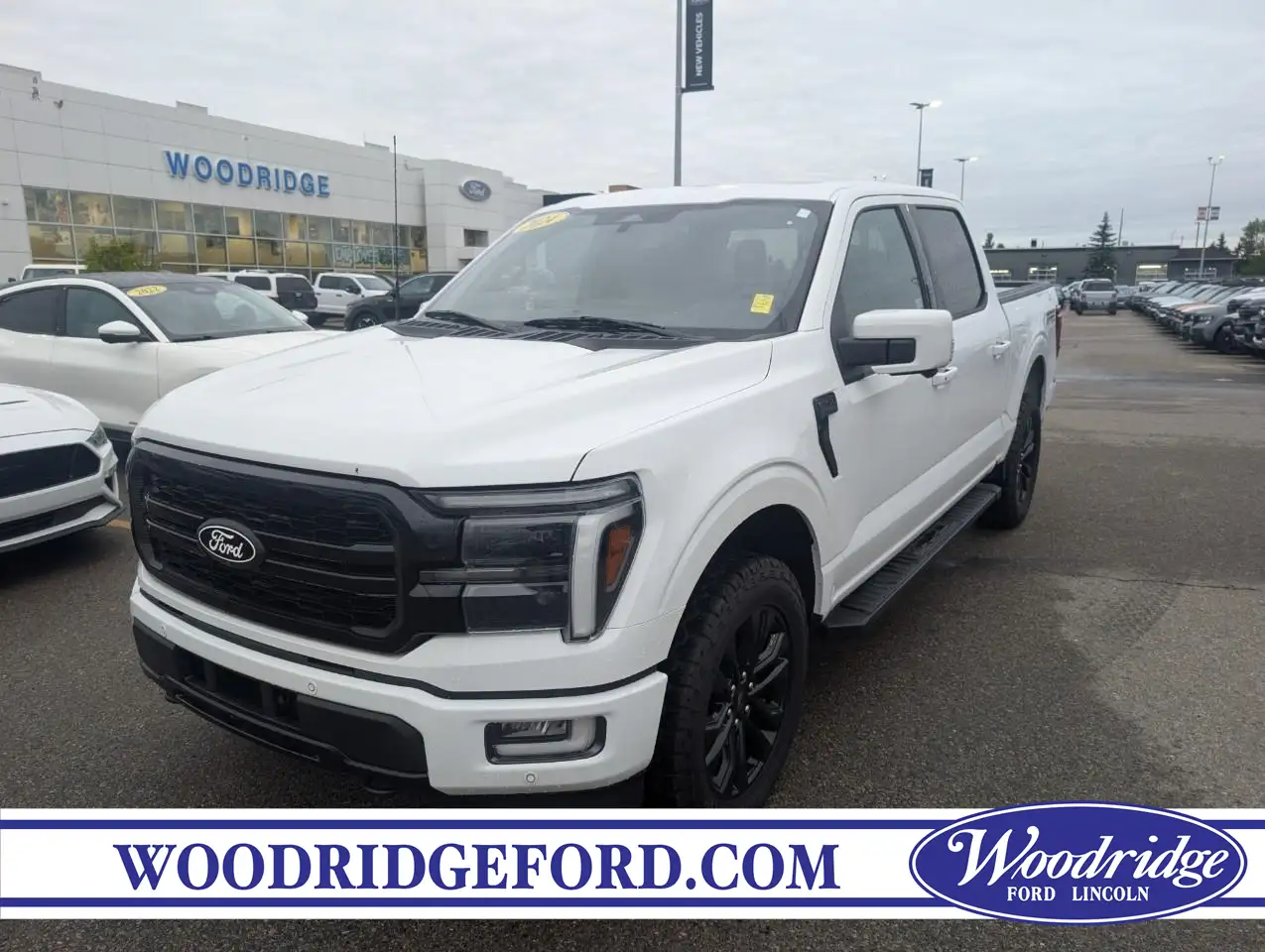 Ford F-150 - Image 1