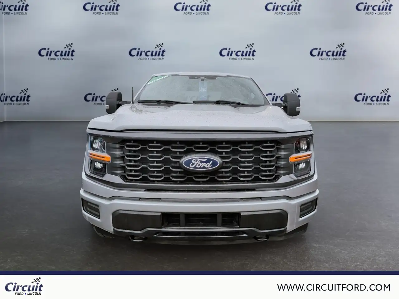 Ford F-150 - Image 2