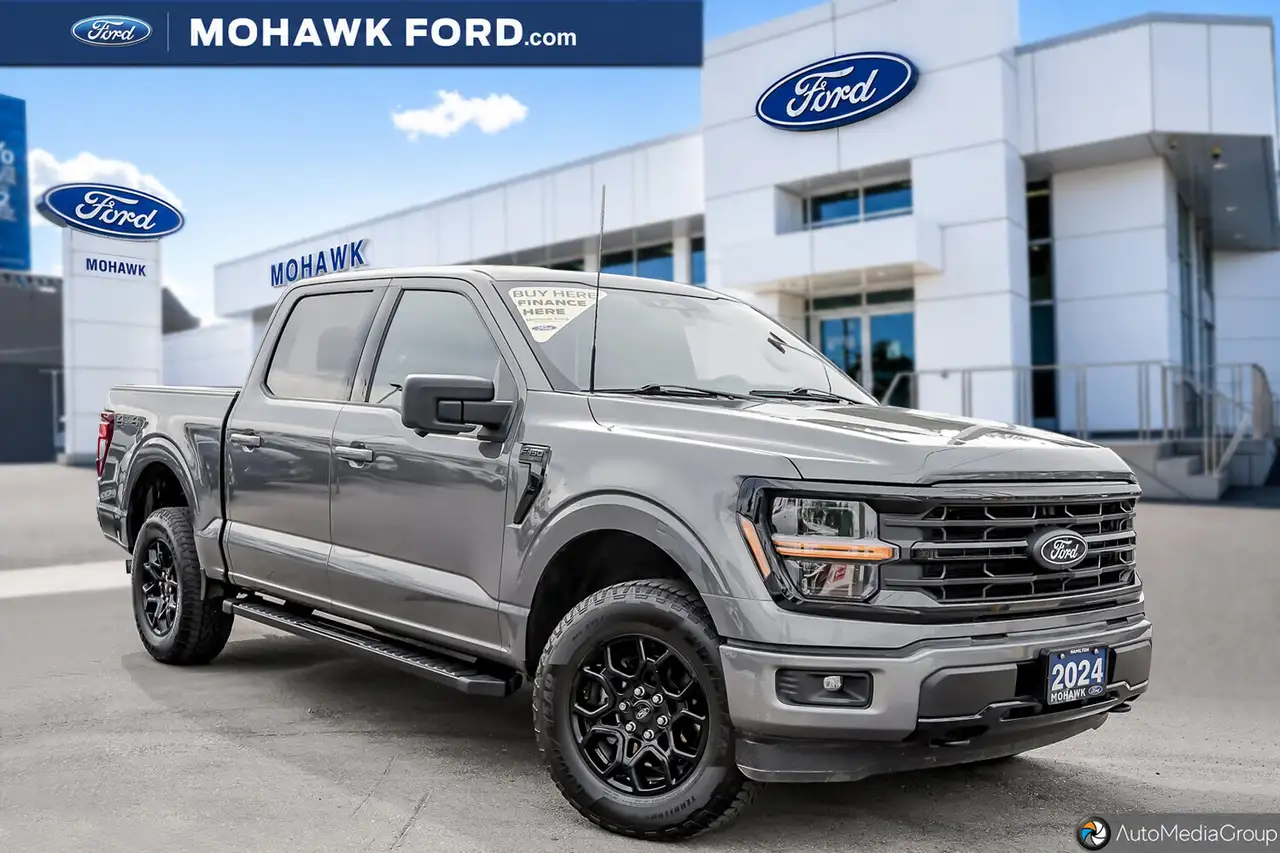 Ford F-150 - Image 1