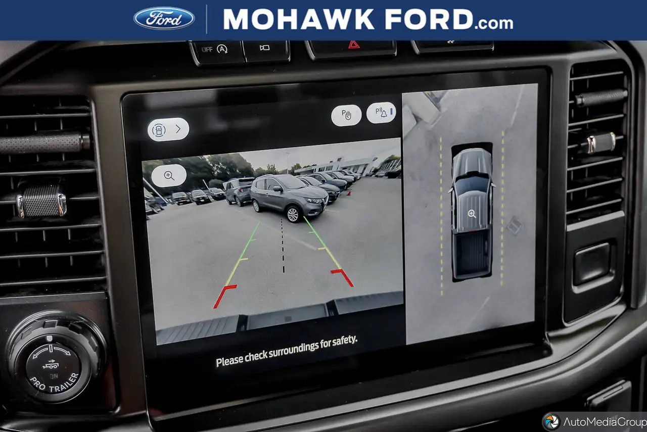 Ford F-150 - Image 10