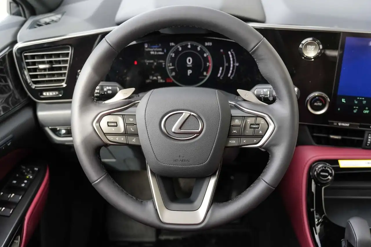 Lexus NX - Image 15