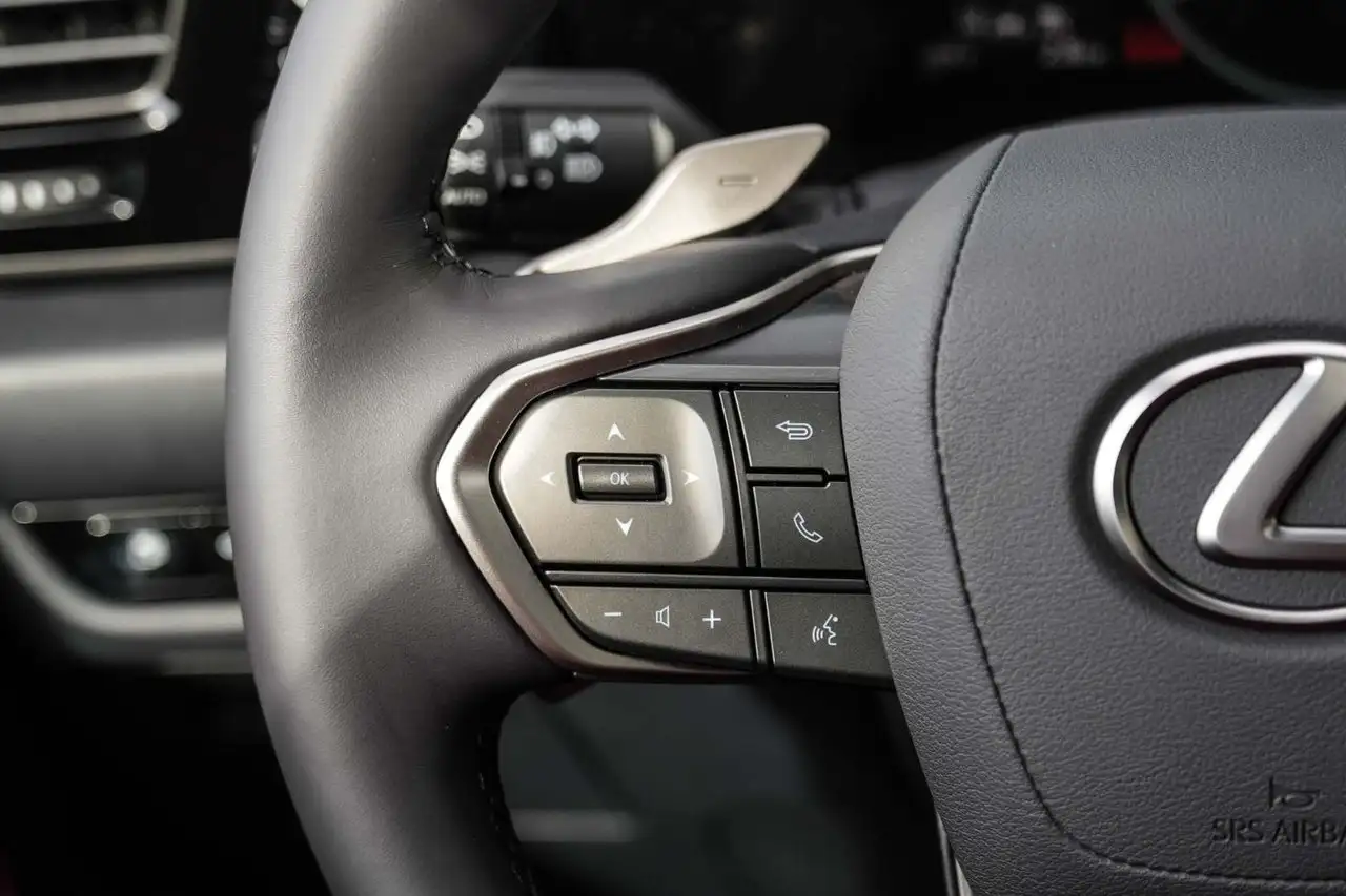 Lexus NX - Image 18