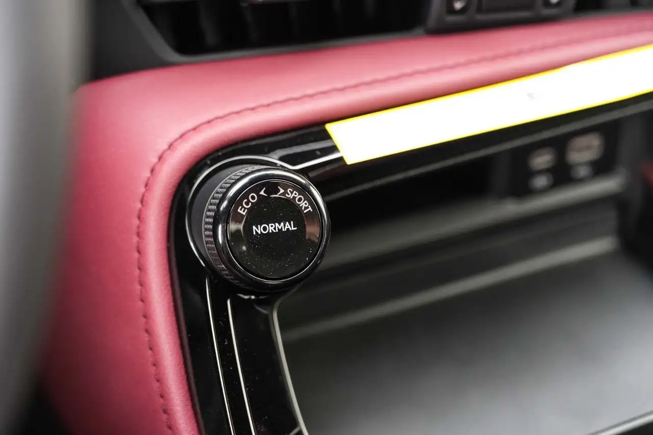 Lexus NX - Image 22