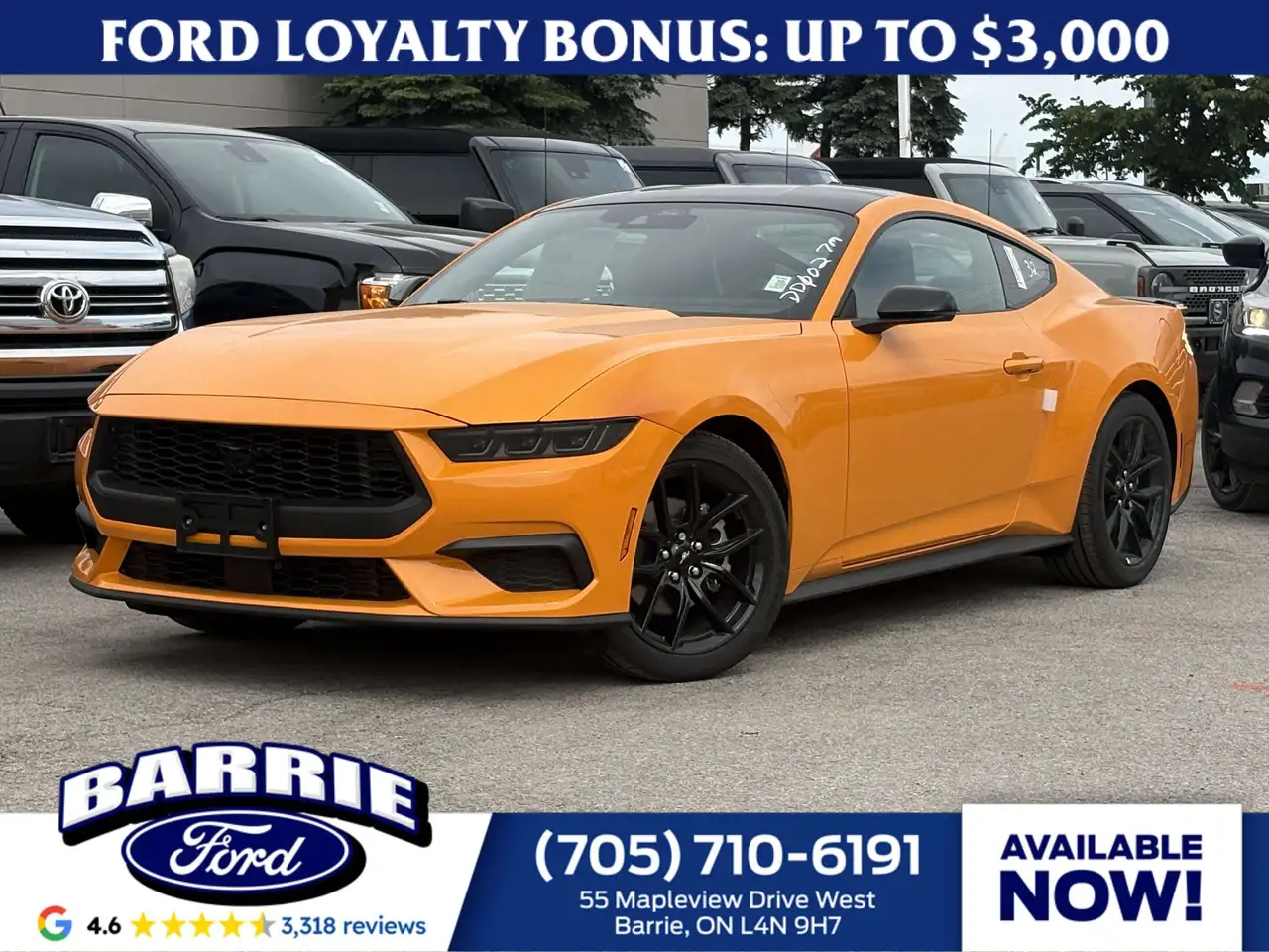 Ford Mustang - Image 1