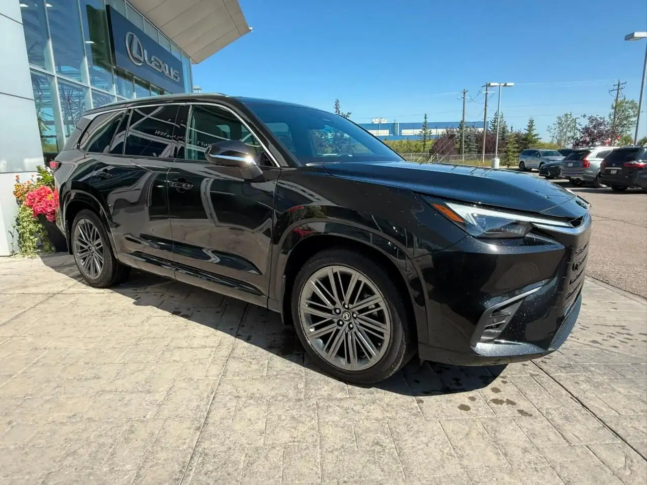 Lexus TX 350 - Image 4