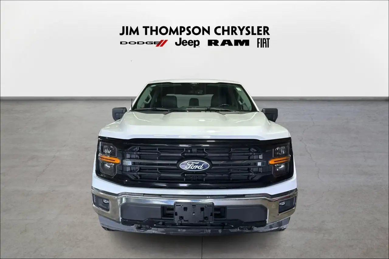 Ford F-150 - Image 2