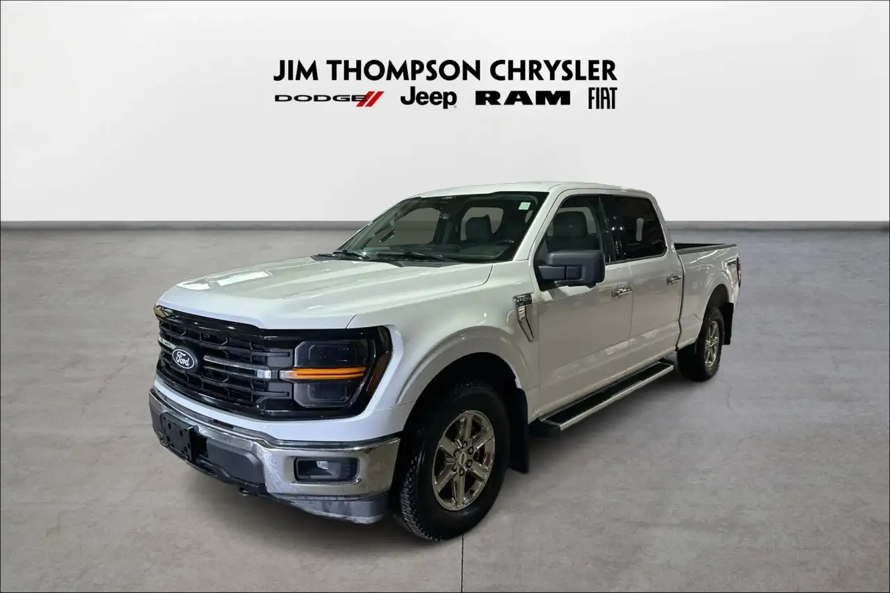 Ford F-150 - Image 3