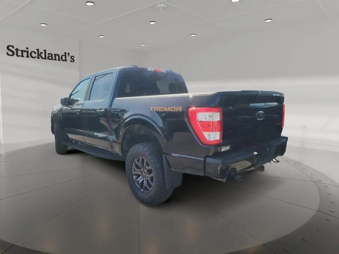 Ford F-150 - Image 4