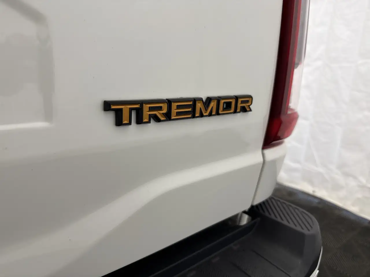 Ford F-150 - Image 15