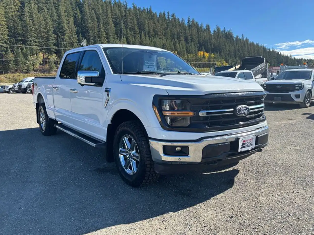 Ford F-150 - Image 8