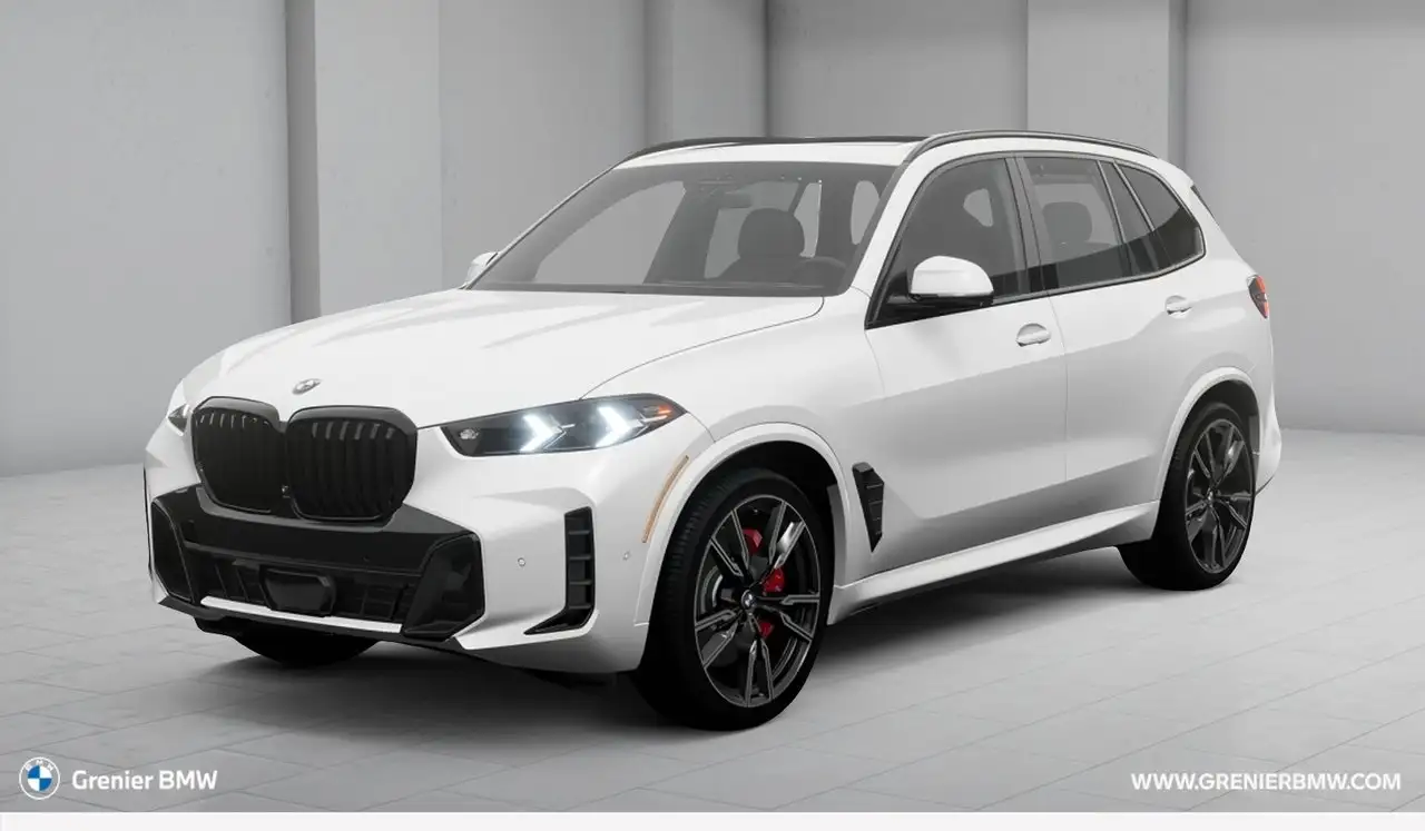 BMW X5 - Image 1