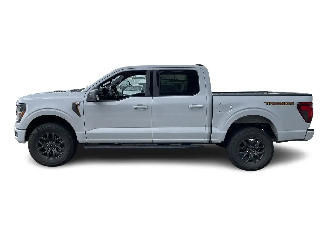 Ford F-150 - Image 8