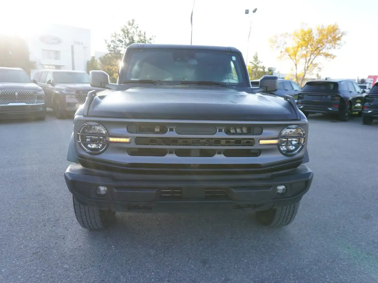 Ford Bronco - Image 2