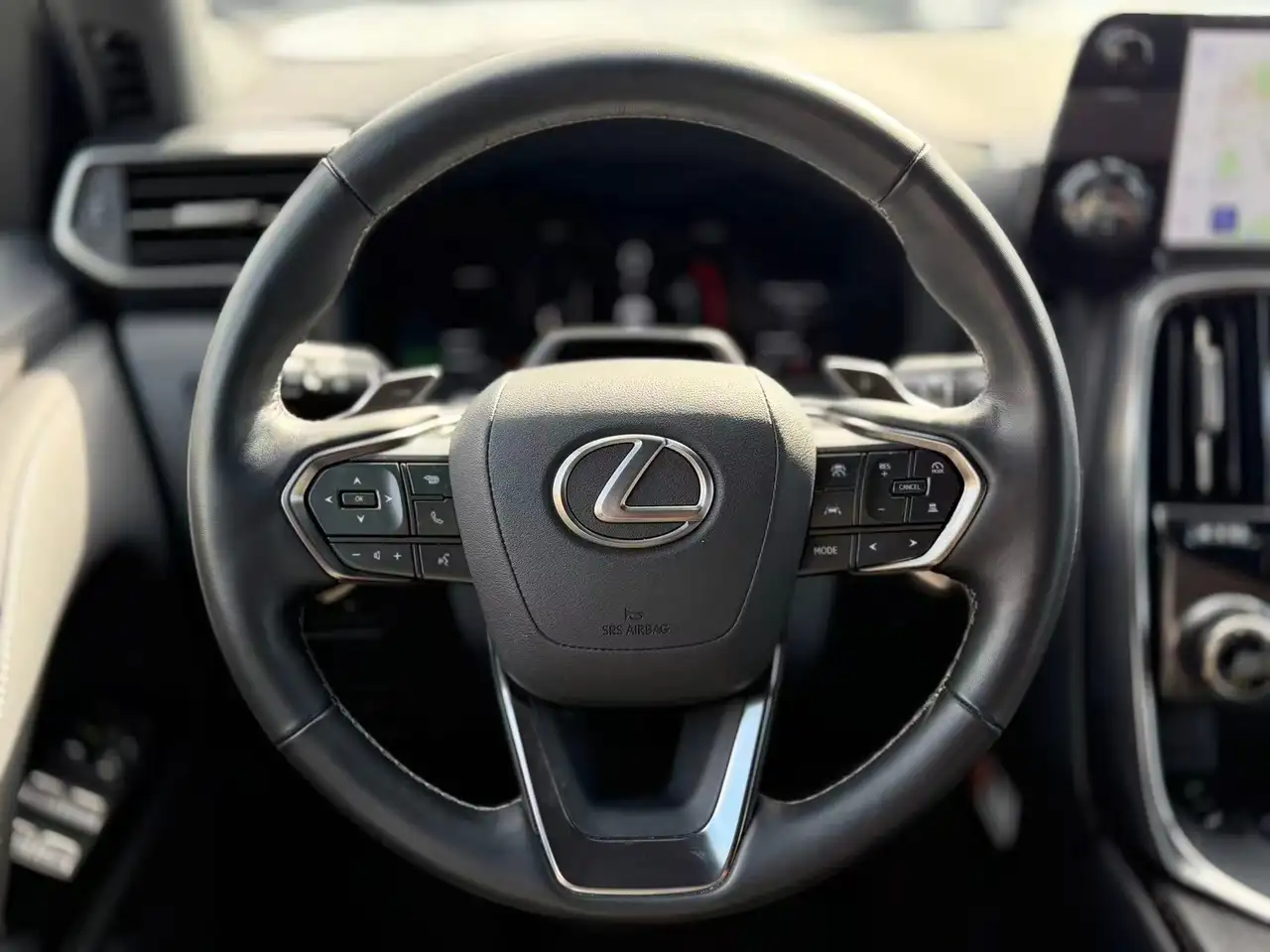 Lexus LX - Image 12
