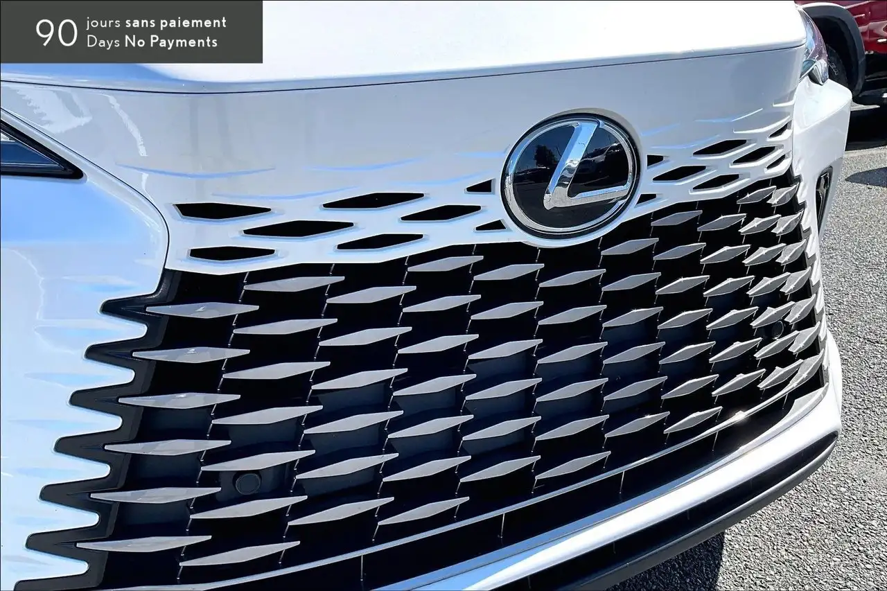 Lexus RX - Image 29