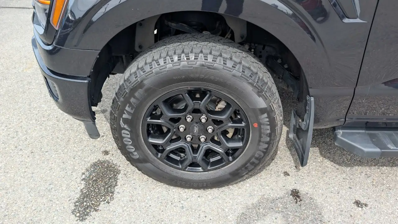 Ford F-150 - Image 9