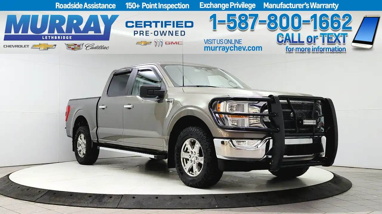 Ford F-150 - Image 1