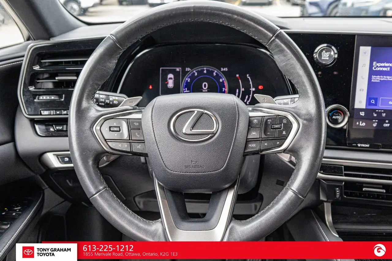 Lexus RX - Image 22