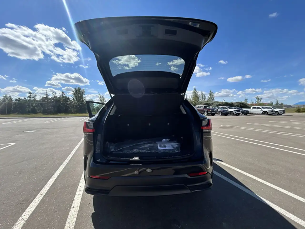 Lexus NX - Image 19