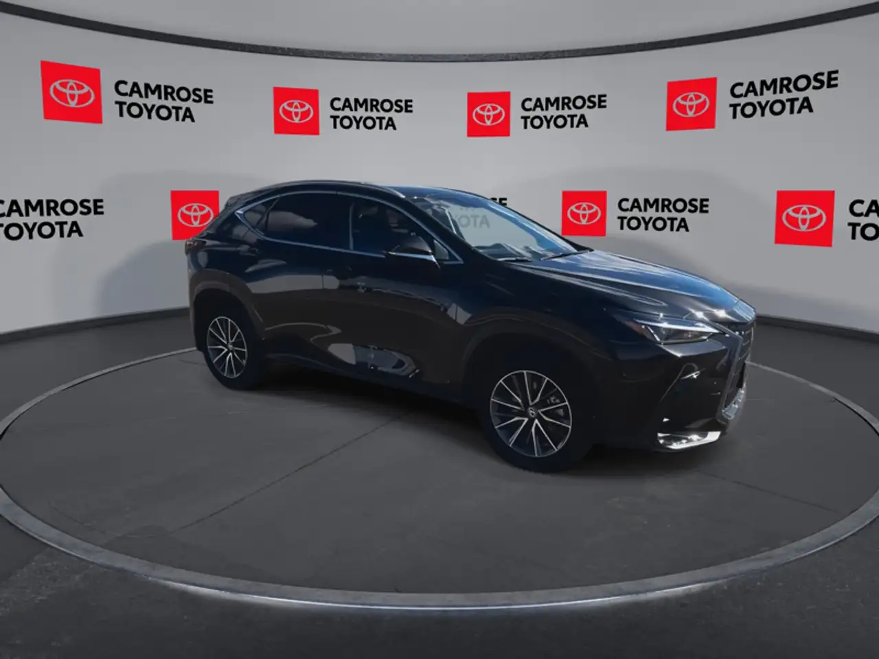 Lexus NX - Image 2