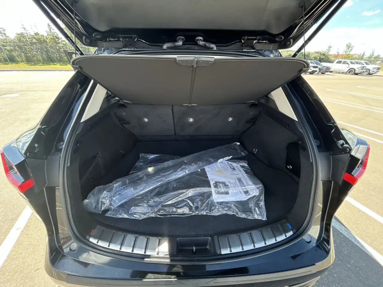 Lexus NX - Image 20