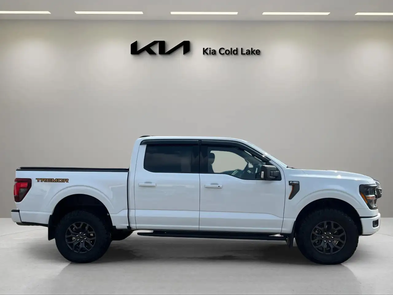 Ford F-150 - Image 8