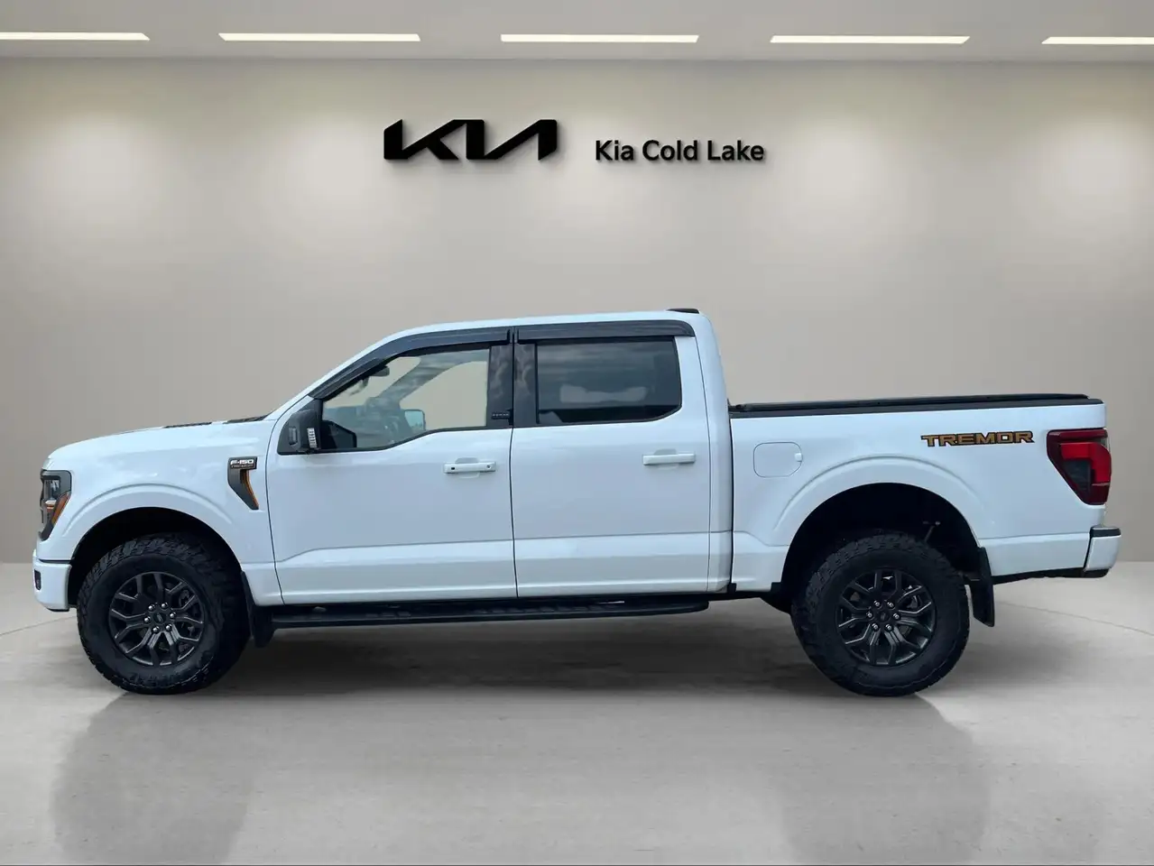Ford F-150 - Image 4