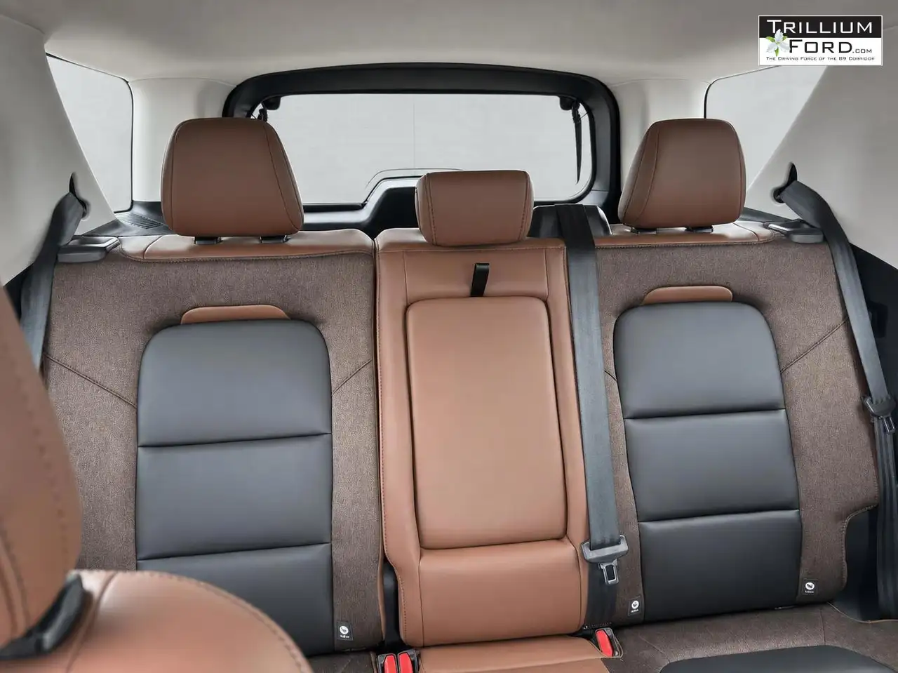 Ford Bronco Sport - Image 15