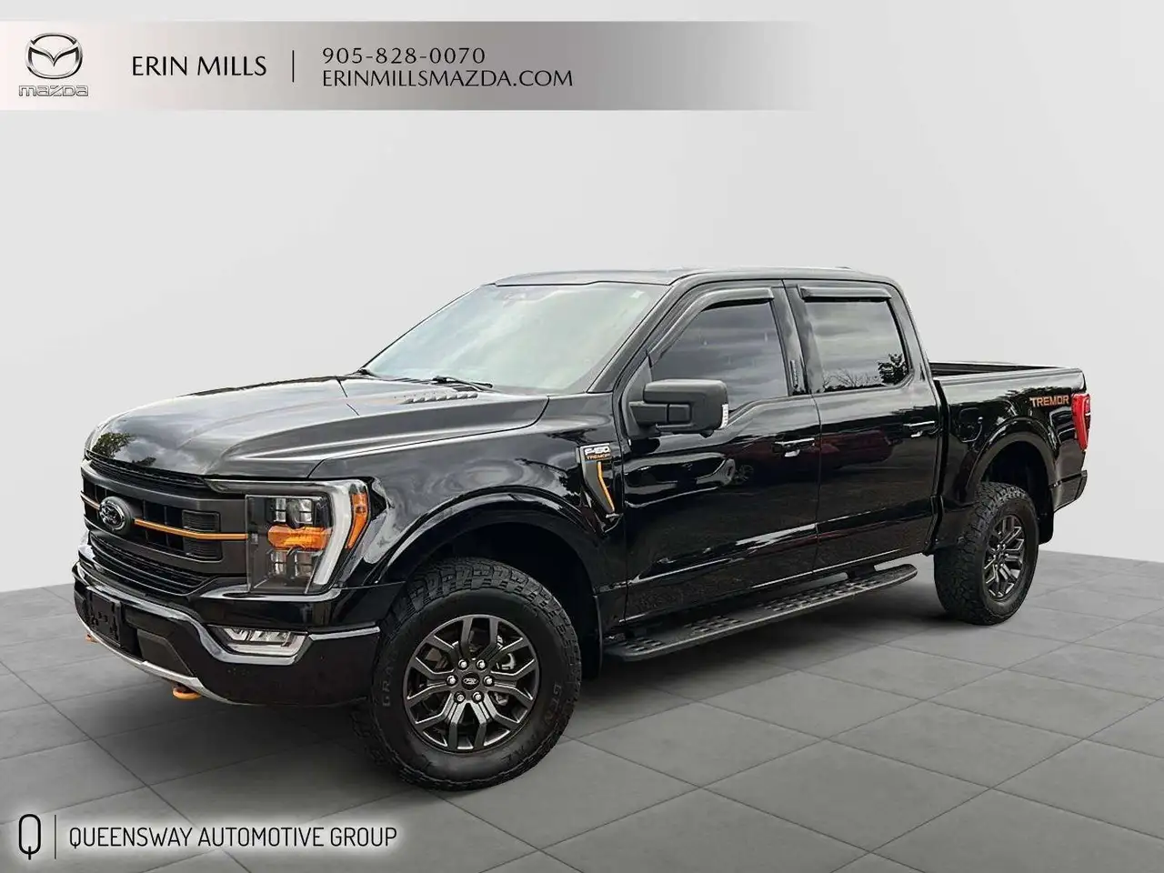 Ford F-150 - Image 1