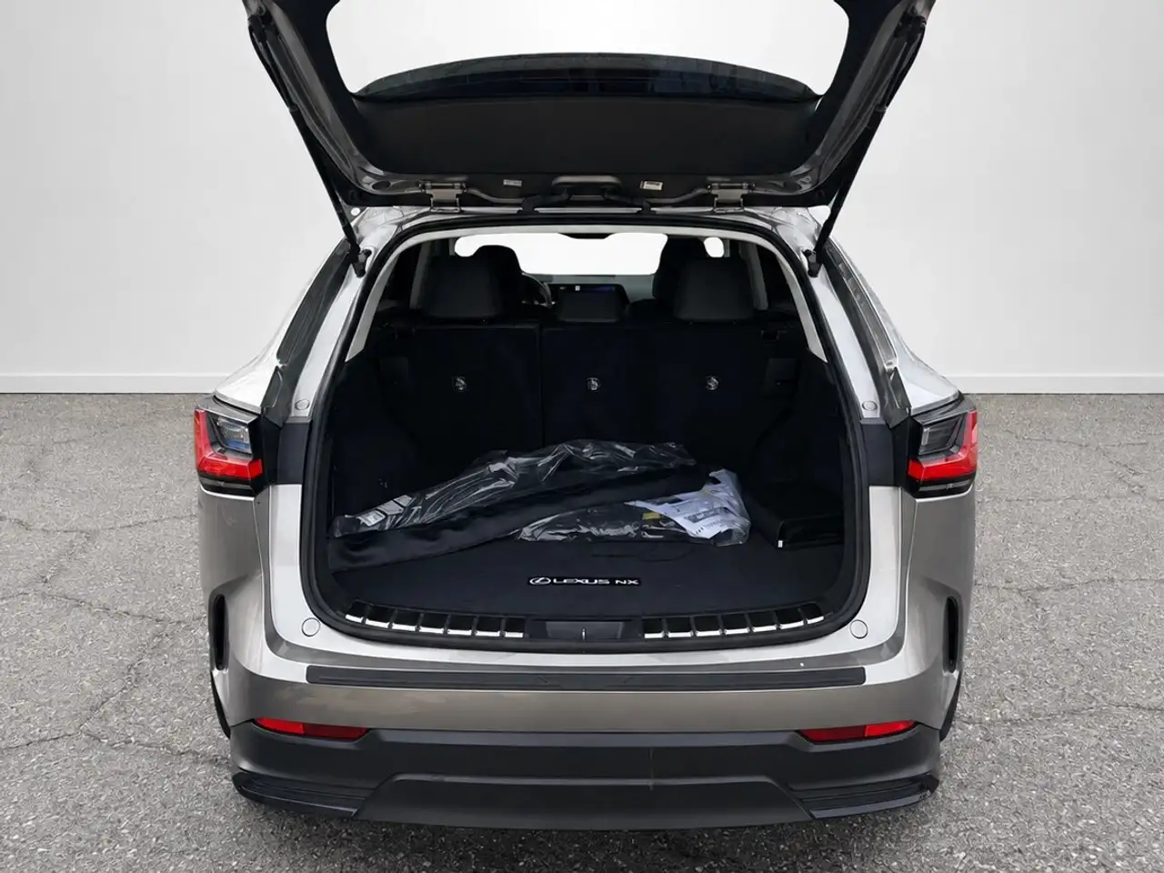 Lexus NX - Image 19