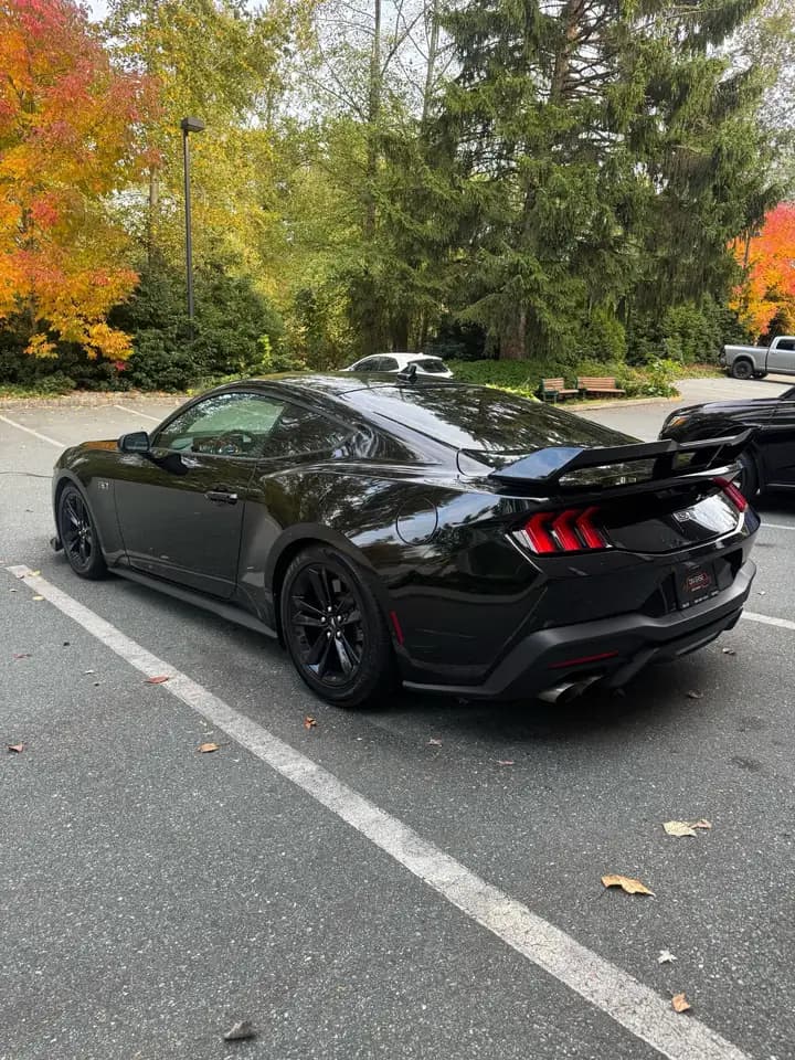 Ford Mustang - Image 4