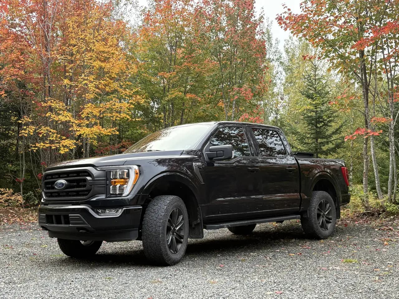 Ford F-150 - Image 3