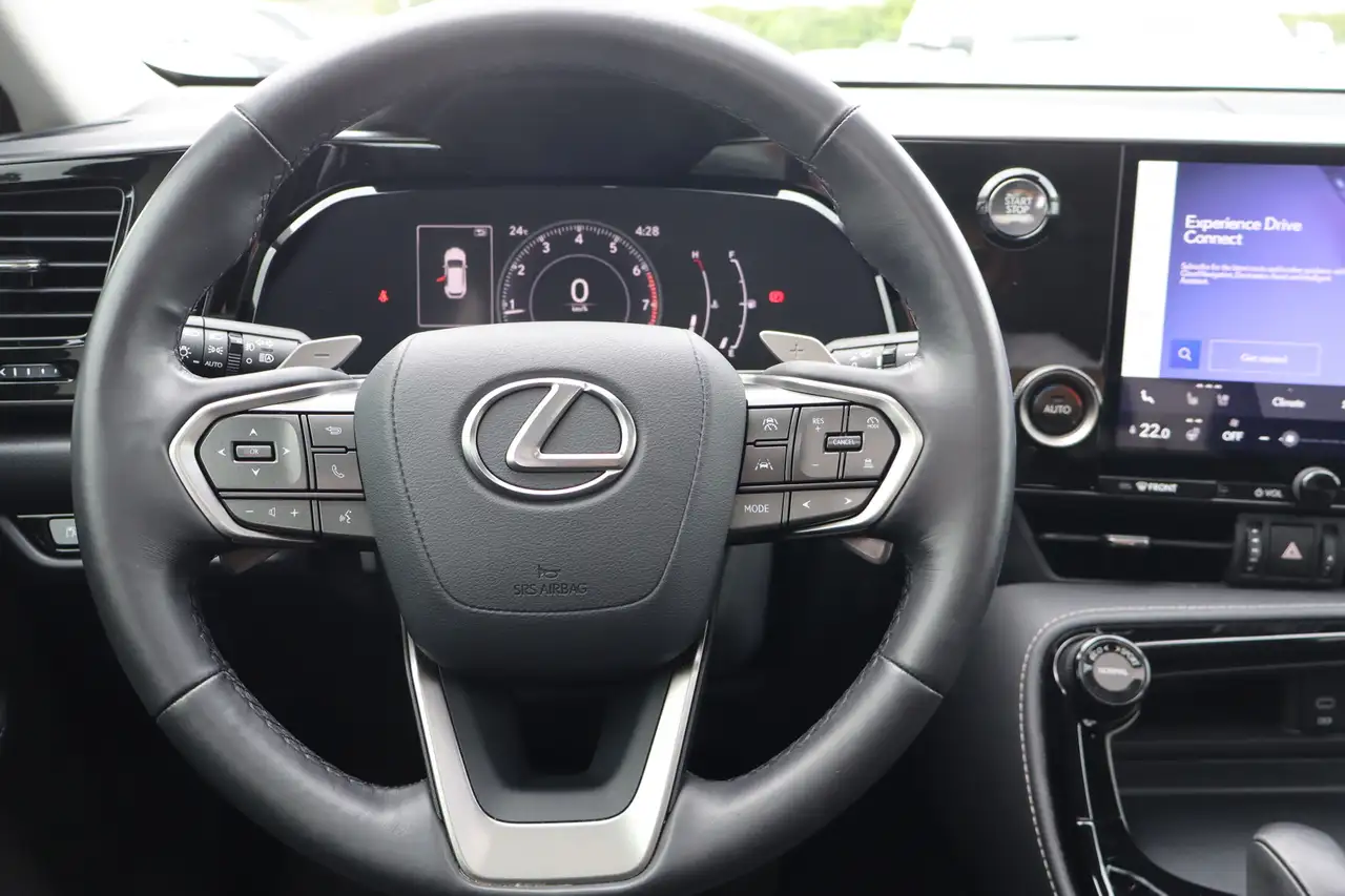 Lexus NX - Image 11