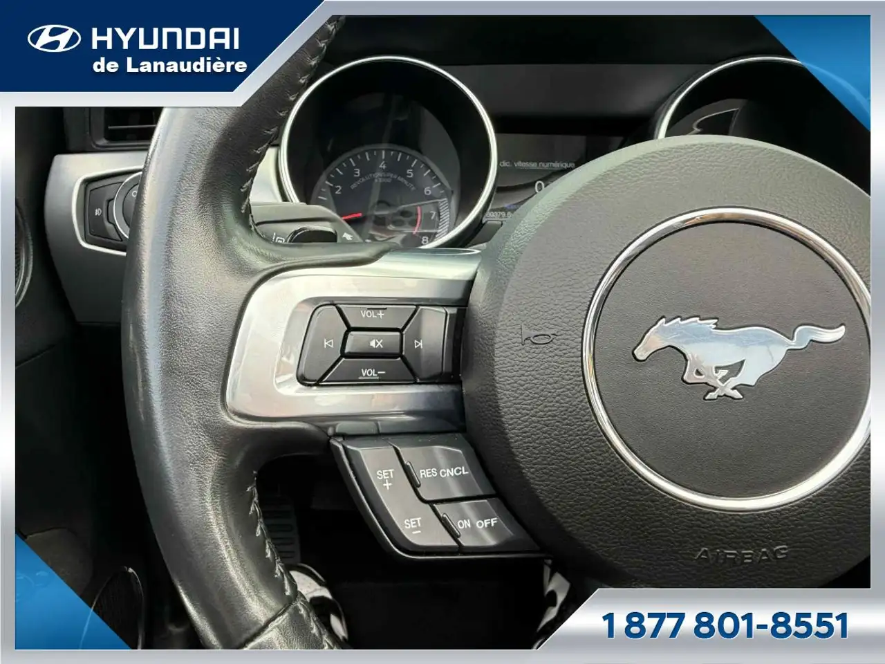 Ford Mustang - Image 13