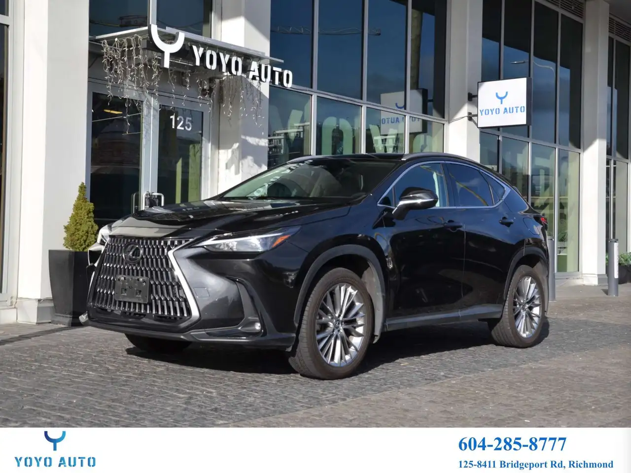Lexus NX - Image 1