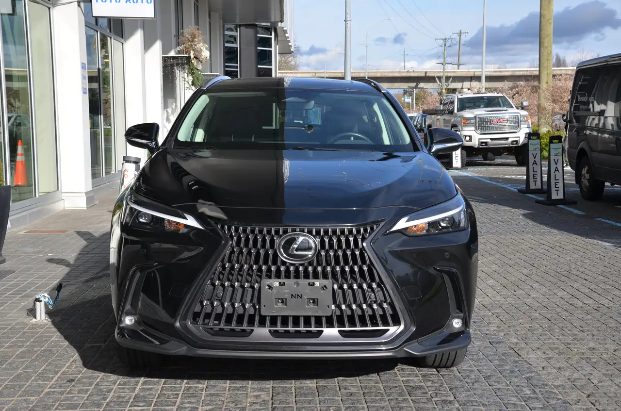 Lexus NX - Image 2