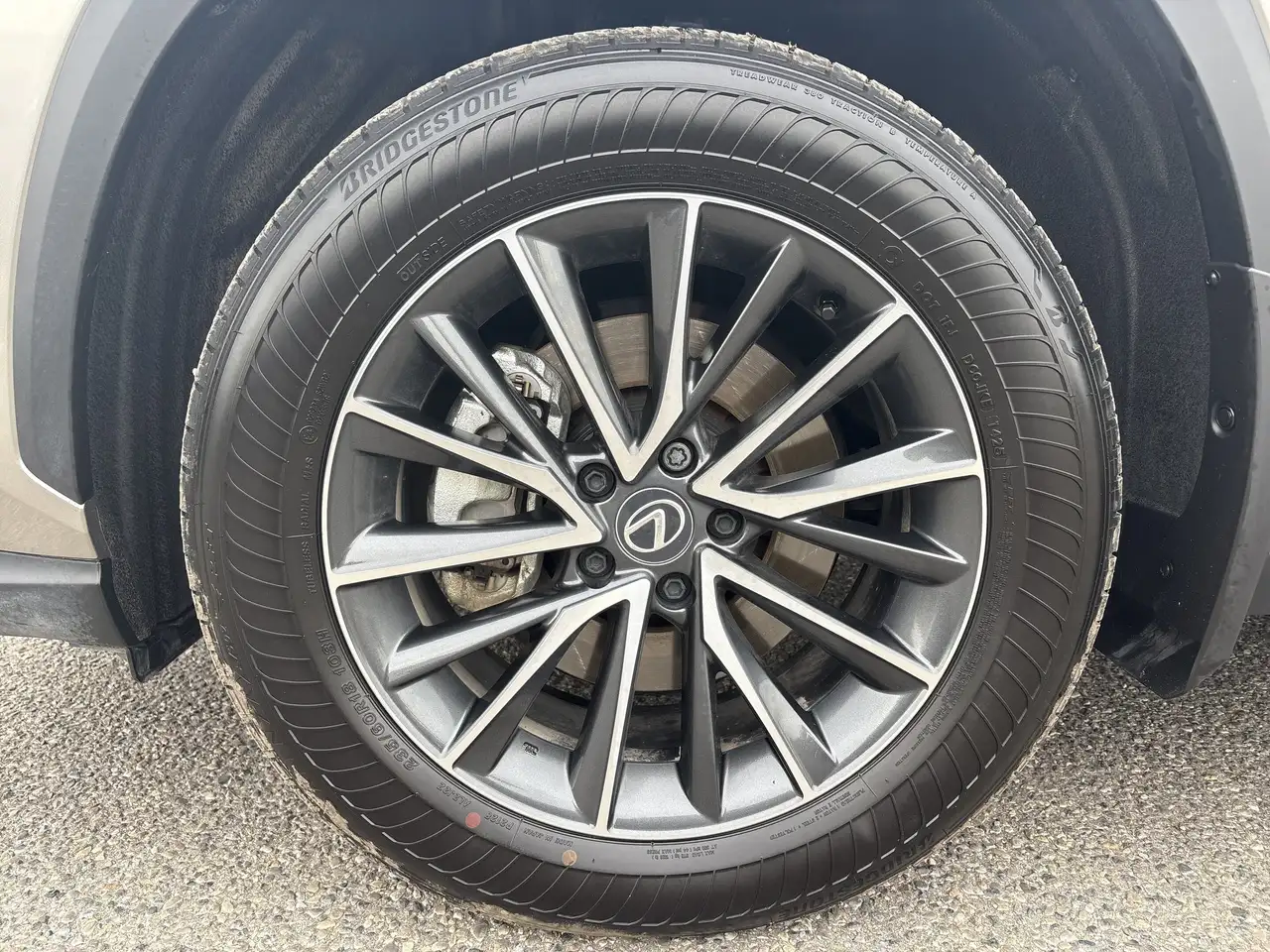 Lexus NX - Image 6