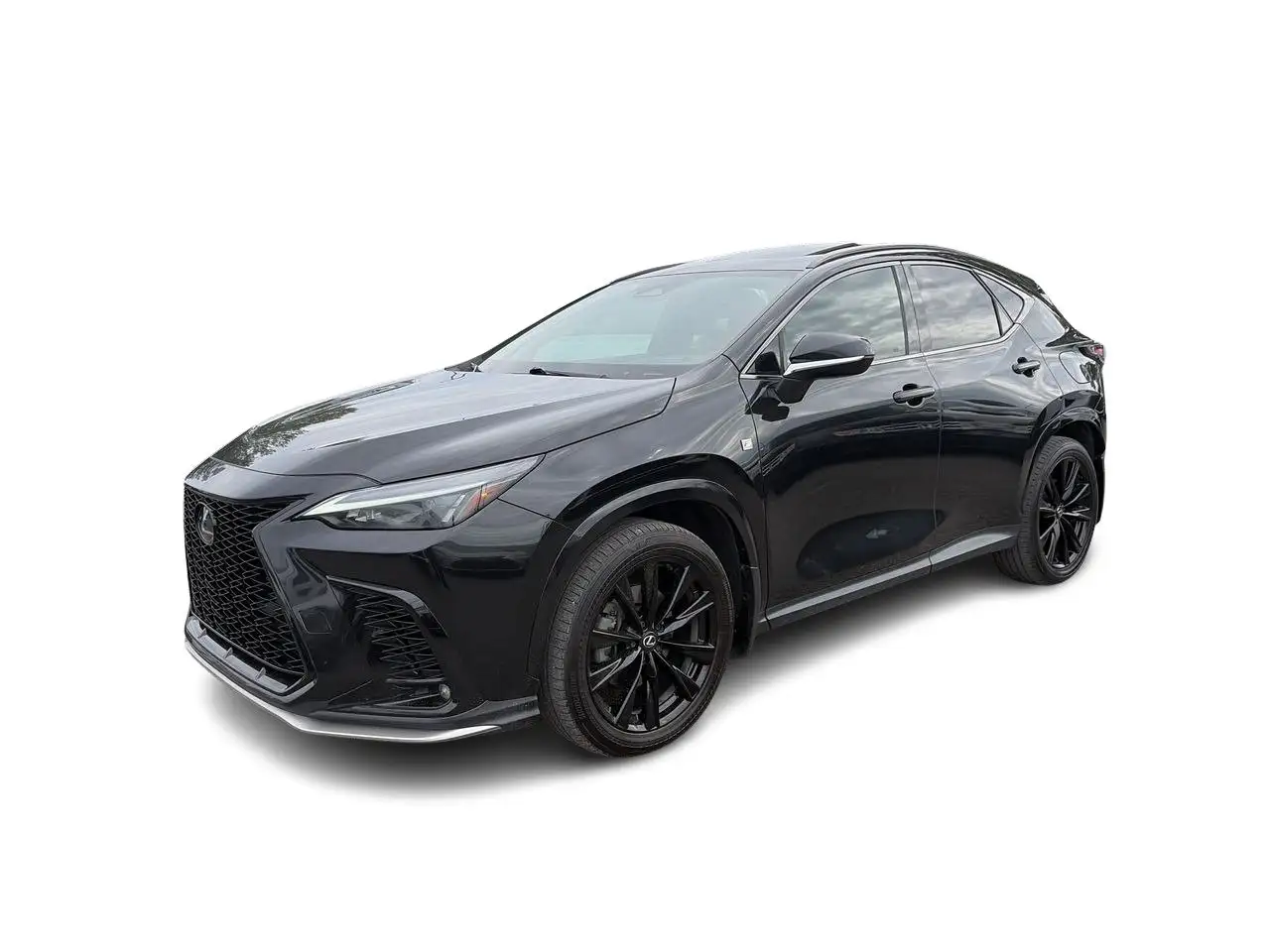 Lexus NX - Image 6