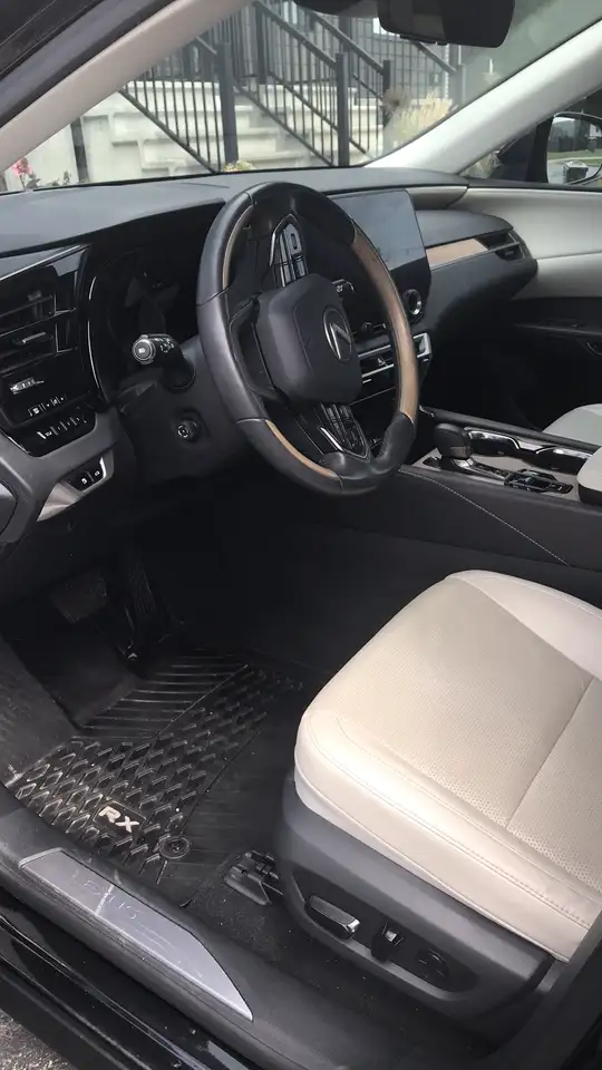 Lexus RX 350h - Image 4