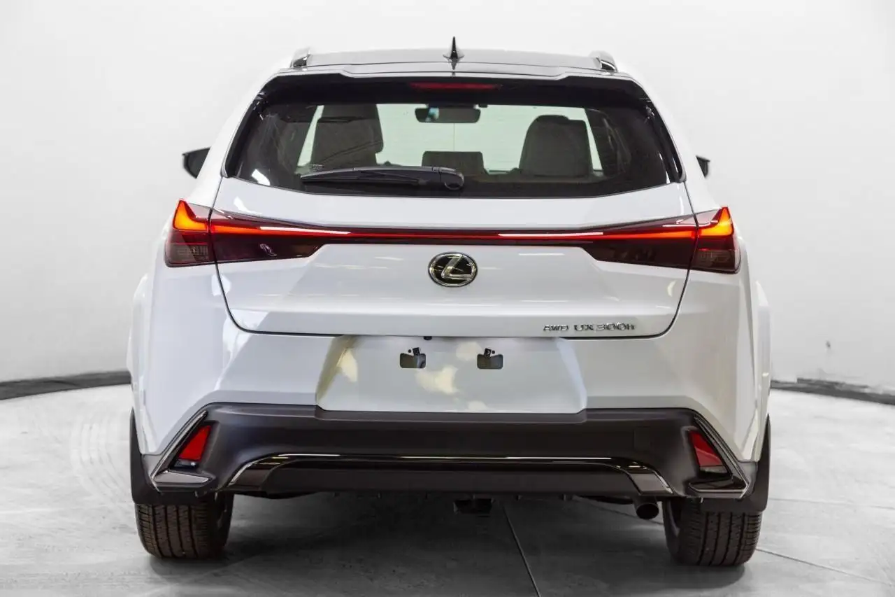 Lexus UX 300h - Image 5