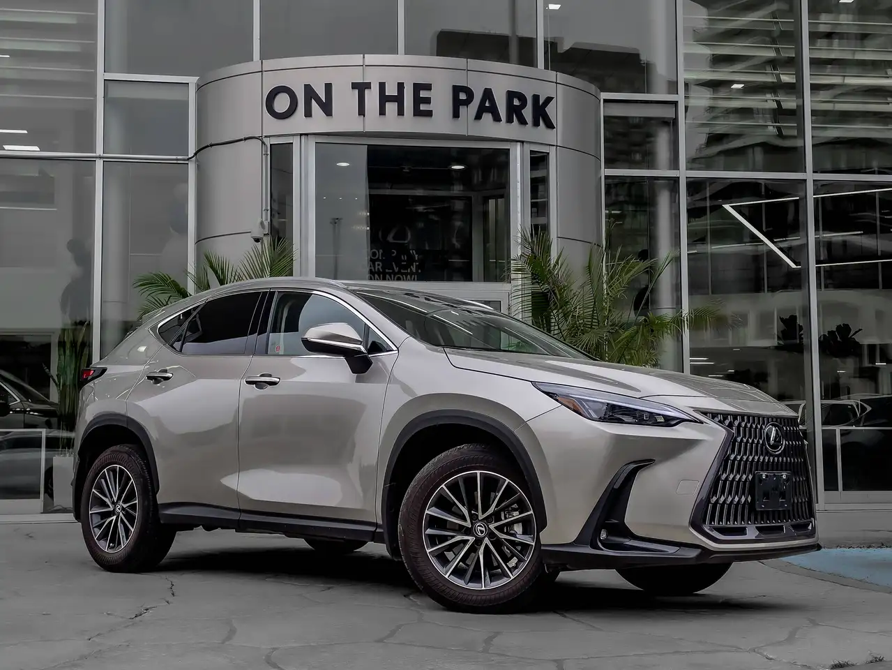Lexus NX - Image 9