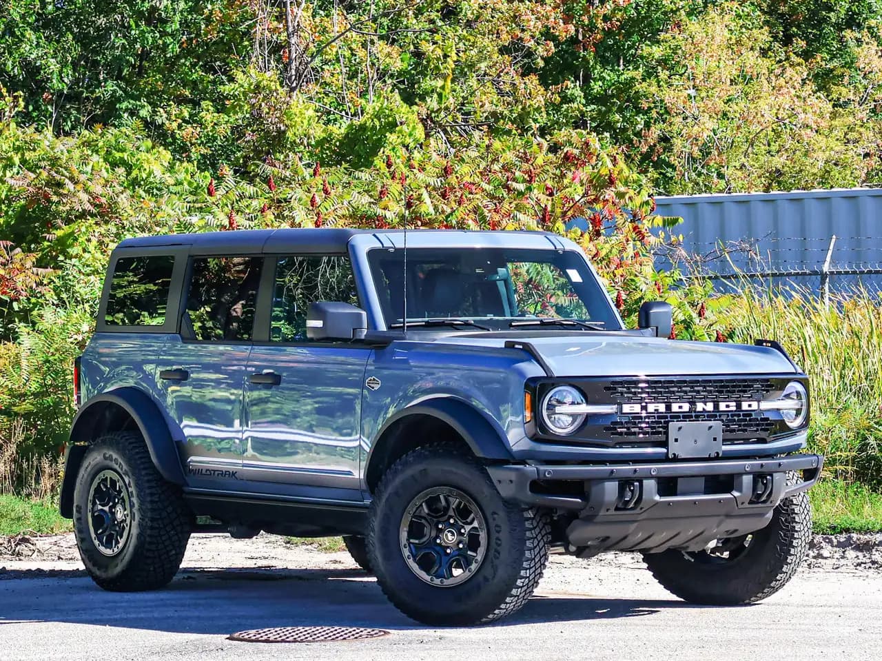 Ford Bronco - Image 2