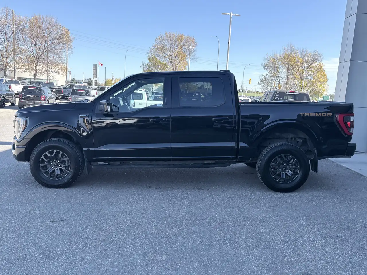 Ford F-150 - Image 7