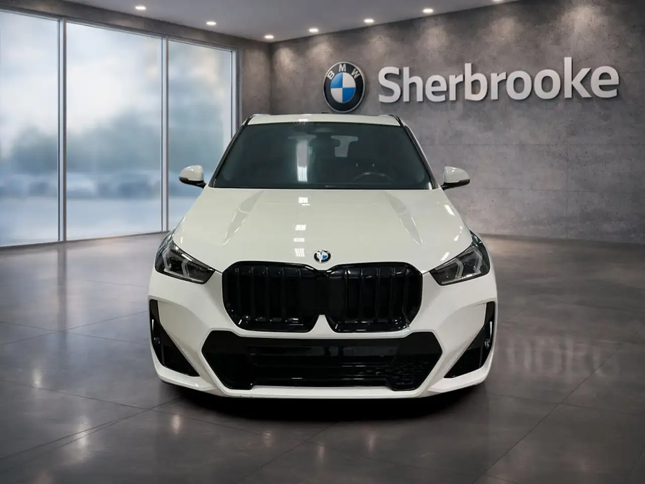 BMW X1 - Image 2