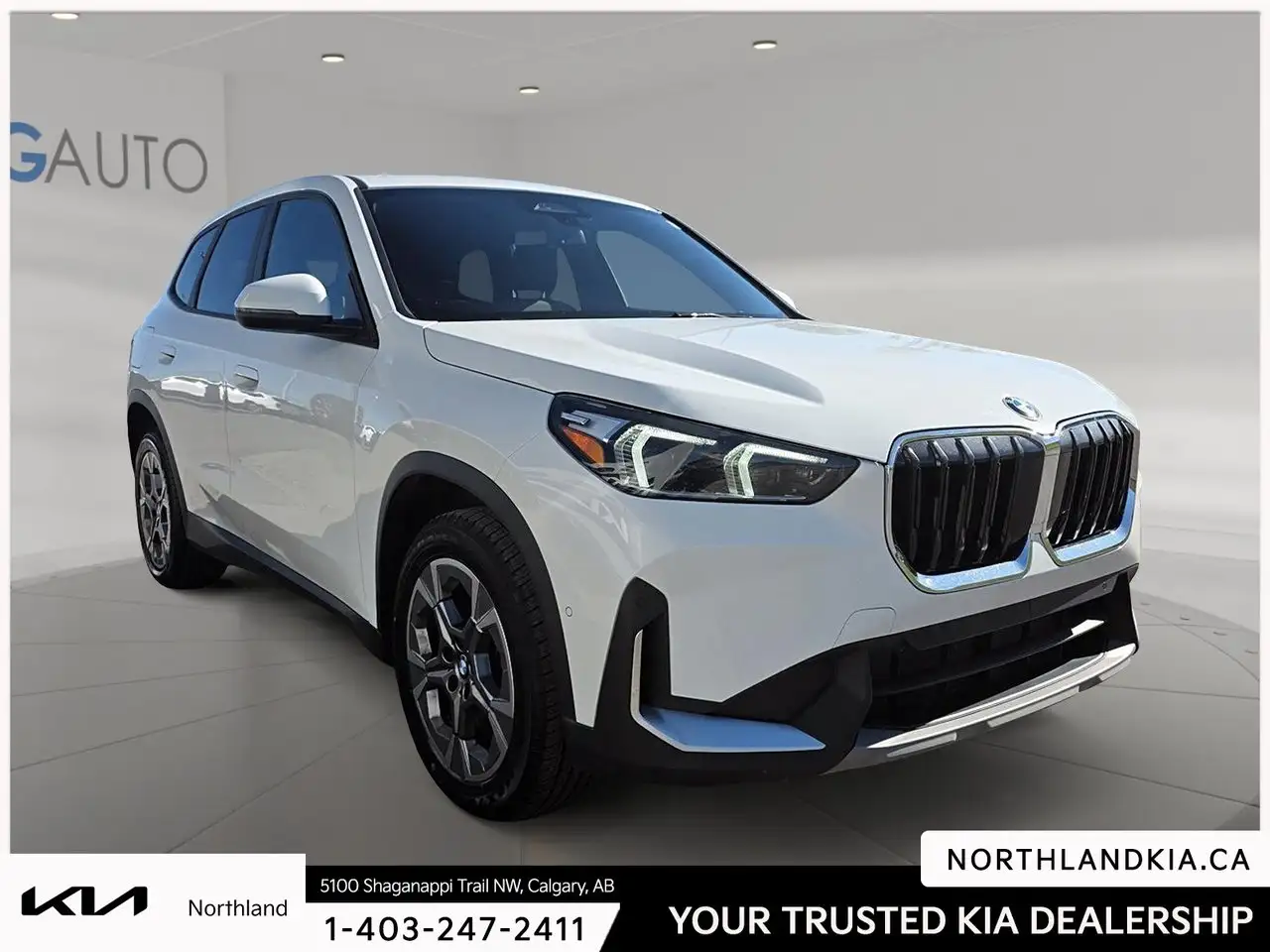 BMW X1 - Image 5