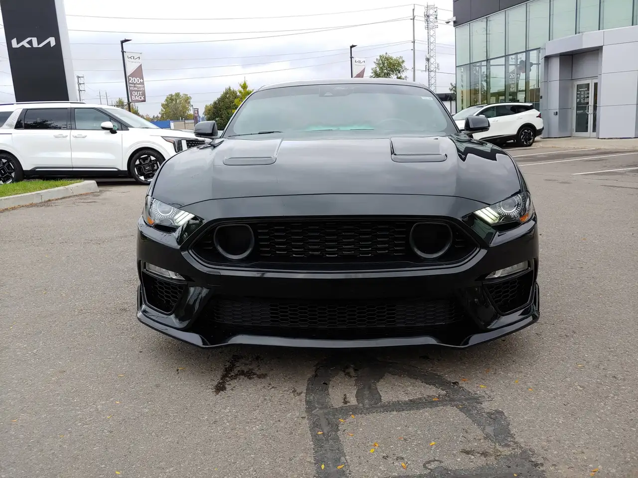 Ford Mustang - Image 2