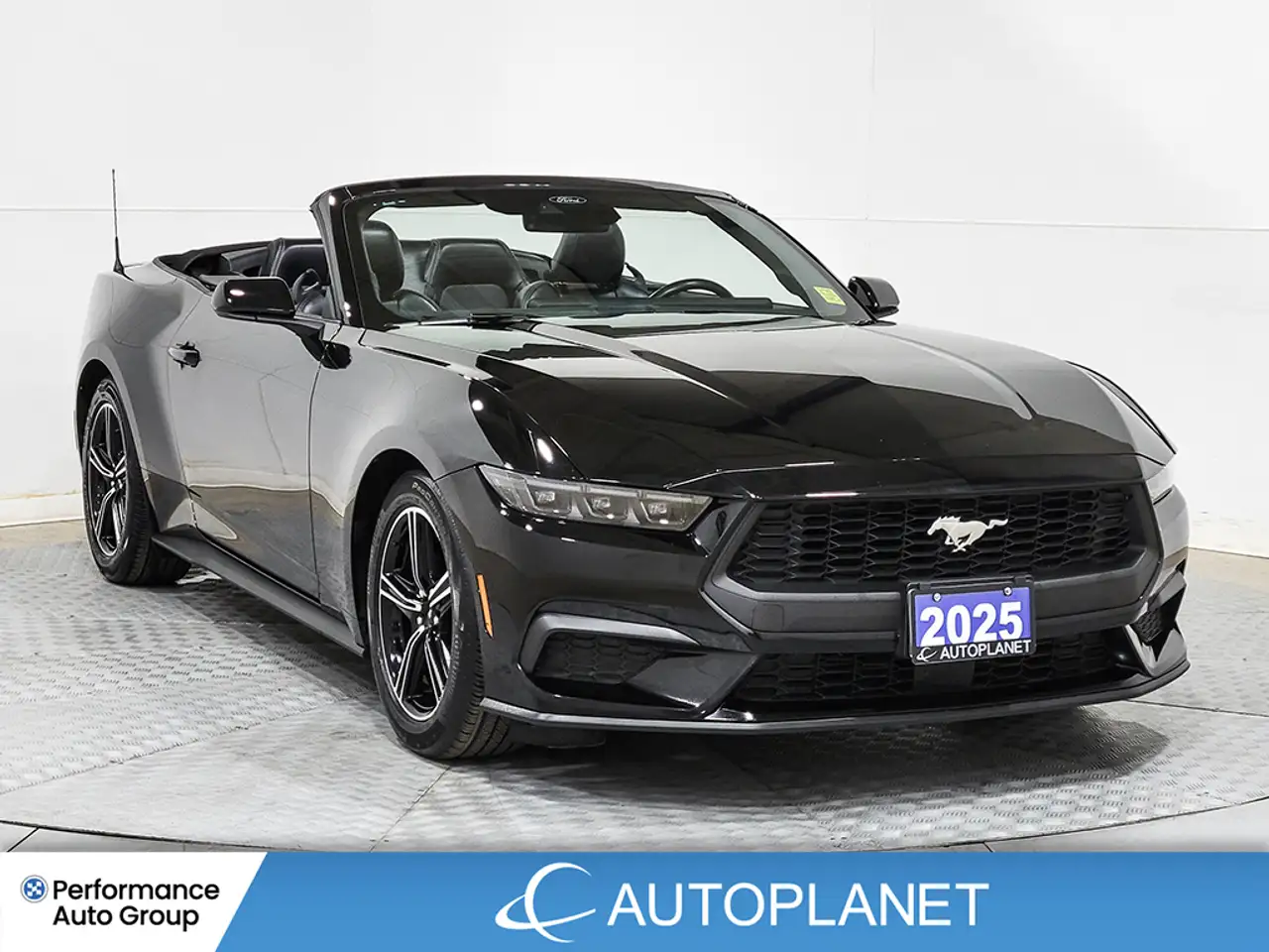 Ford Mustang - Image 3